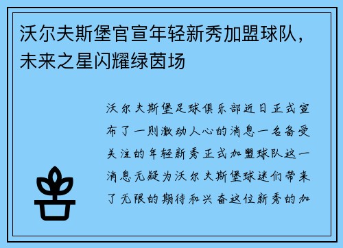 沃尔夫斯堡官宣年轻新秀加盟球队，未来之星闪耀绿茵场