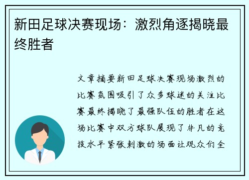 新田足球决赛现场：激烈角逐揭晓最终胜者